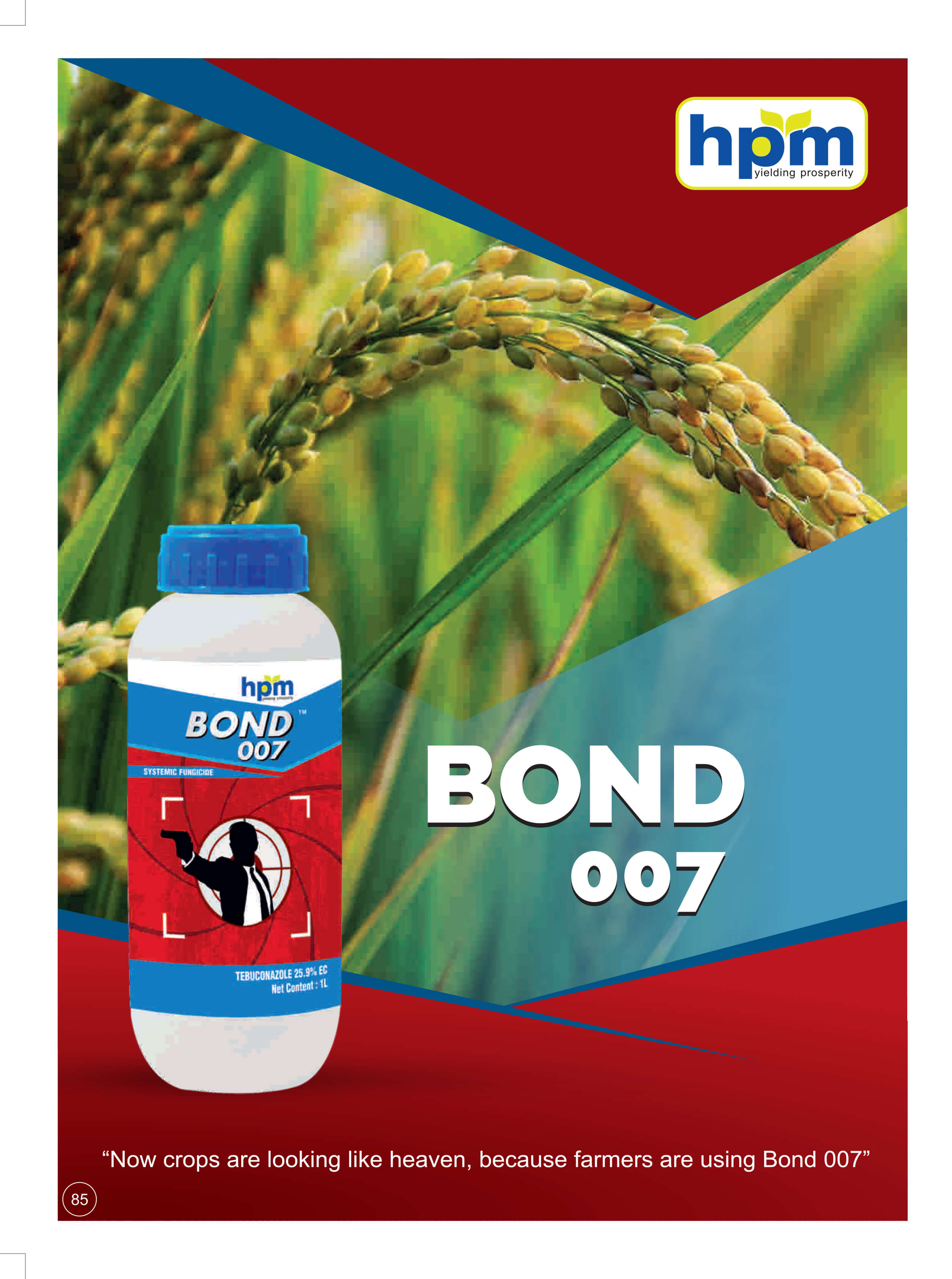 bond